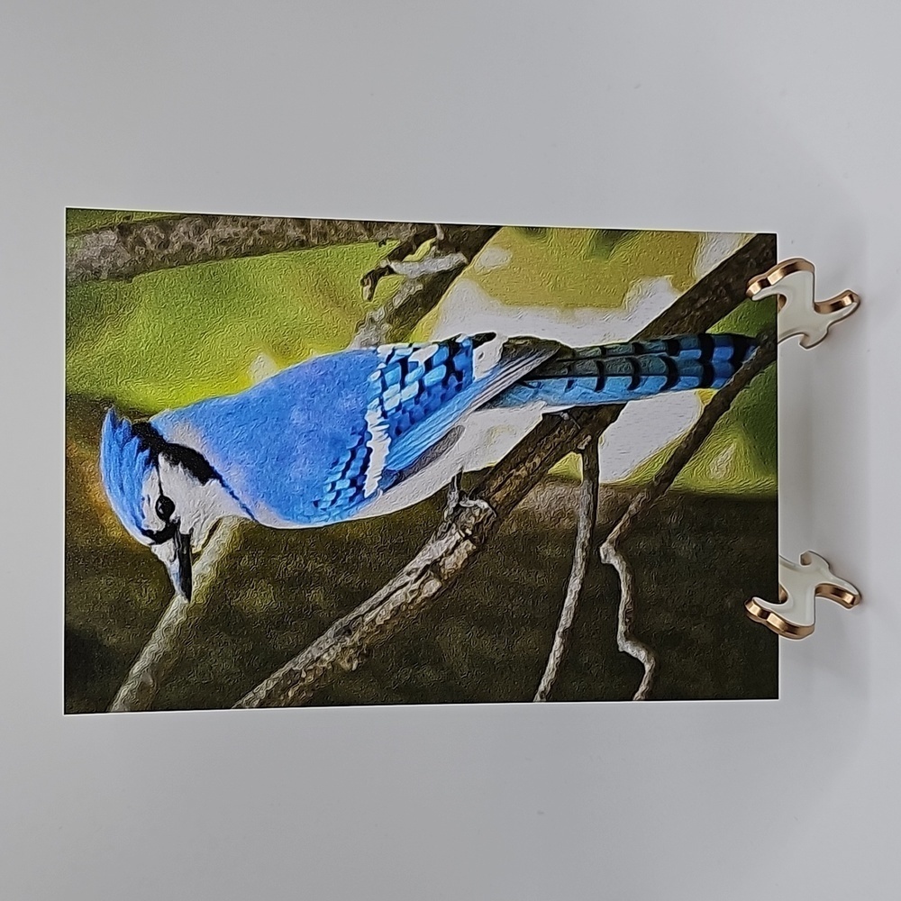 4x6 Spring Blue Jay Bird Oil Painting Photography Print
